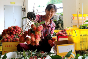 Rambutan Sumber Rezeki Penduduk Baoting, Hainan