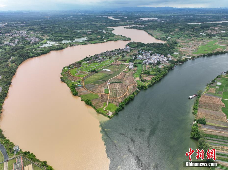 Fenomena Air Dua Warna di Tempat Temu Tiga Sungai