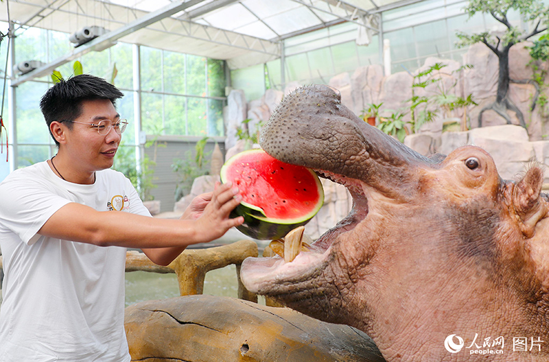 Haiwan berdamai dengan musim panas di Qingdao, provinsi Shandong, China. (foto: Zhang Jingang/People.cns)