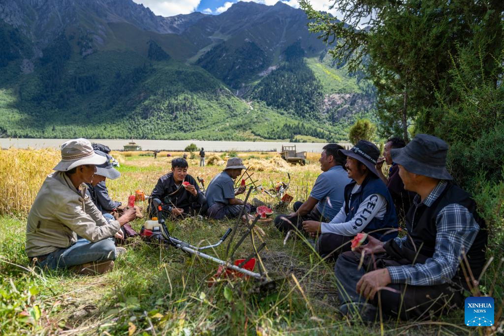 Penduduk kampung menikmati tembikai ketika berehat di Kampung Waba di Pekan Ra'og di Qamdo, Wilayah Autonomi Tibet, barat daya China, 4 September 2023. (Xinhua/Sun Fei)