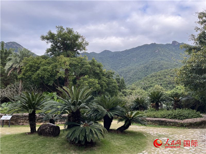 Terokai Geopark Negara Semenanjung Dapeng di Shenzhen