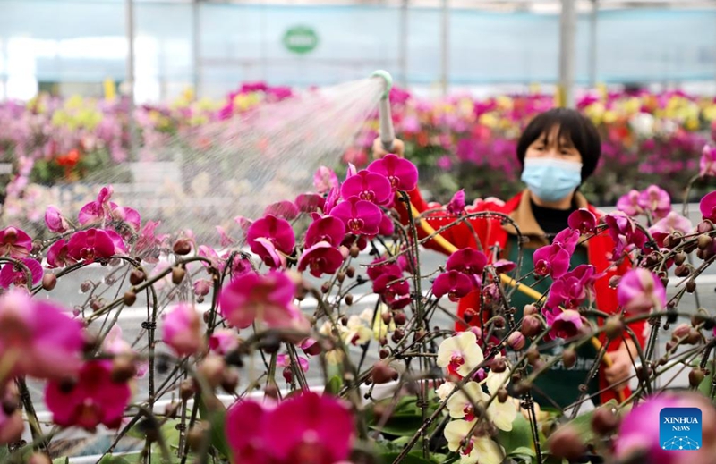 Petani Seluruh China Tambah Sibuk Menjelang Yushui