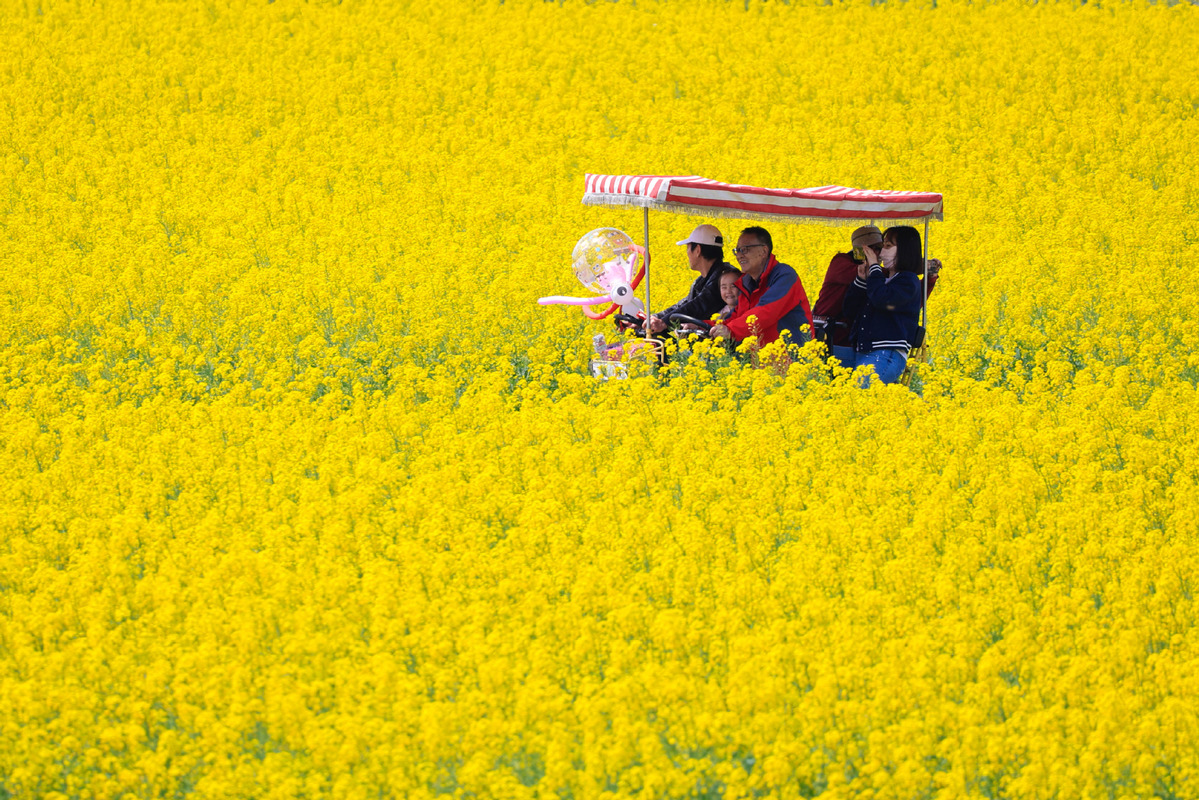 Pelancong melawat kebun bunga di Nanjing, provinsi Jiangsu pada Jumaat. (foto/Xinhua)