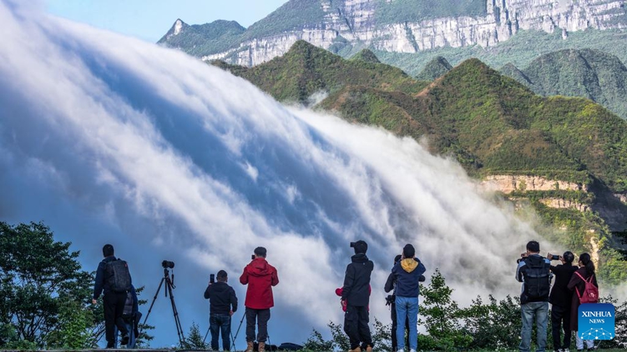 Pelancong menikmati pemandangan awan yang seakan-akan mengalir menuruni Gunung Jinfo di Chongqing, barat daya China, 13 Mei 2024. (Qu Mingbin/Xinhua)