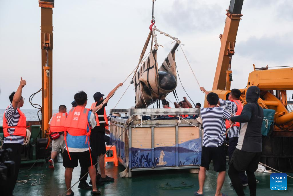 Paus yang Diselamatkan di Selatan China Pulang ke Habitat