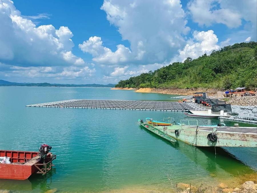 Gambar fail ini menunjukkan tapak pembinaan projek kuasa suria terapung yang dibina oleh China Energy Engineering Group Jiangsu Power Design Institute Co., Ltd di Sarawak. (Xinhua)