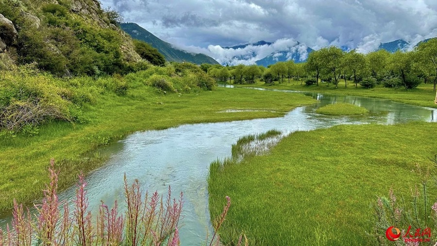 Pemandangan Seindah Lukisan di Taman Tanah Lembap Kebangsaan Yani di Xizang