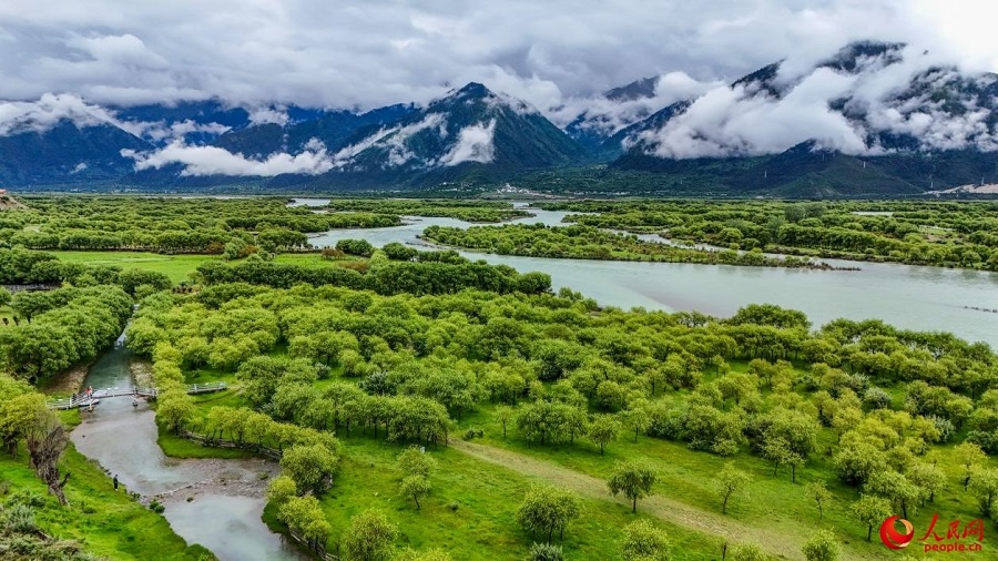 Pemandangan Seindah Lukisan di Taman Tanah Lembap Kebangsaan Yani di Xizang