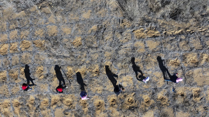 Foto ini menunjukkan pekerja menanam hutan di rizab ekologi negara Baijitan, bandar Lingwu, Wilayah Autonomi Ningxia Hui pada 19 Mac 2024. (Xinhua/Wang Peng)