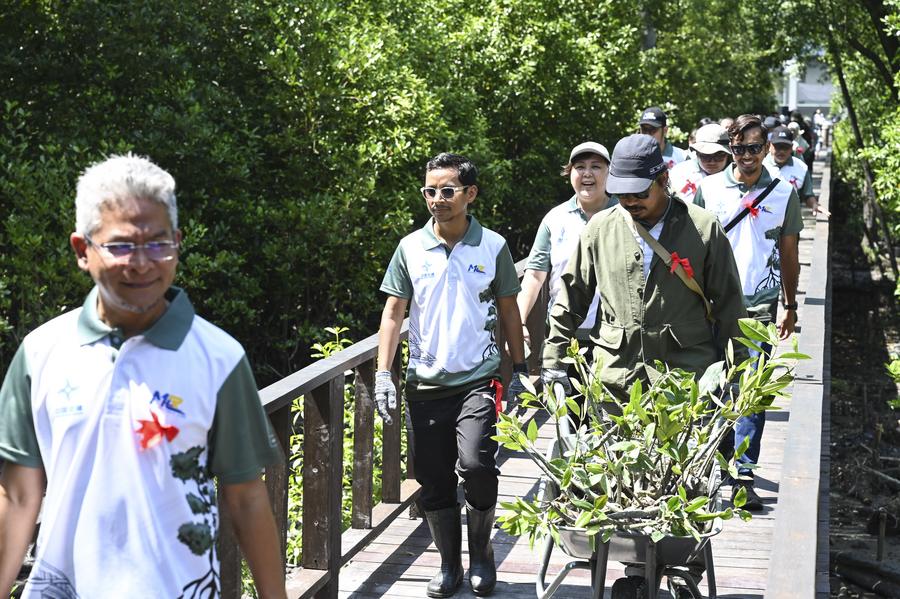 Kakitangan syarikat China dan Malaysia mengangkut anak-anak pokok bakau di Selangor, Malaysia, 15 Ogos 2024. (Xinhua/Cheng Yiheng)