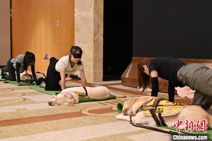 Foto menunjukkan jurulatih anjing pemandu dan peserta lain melakukan senaman yoga menggunakan penutup mata. Foto oleh Chen Chuhong, wartawan China News Service