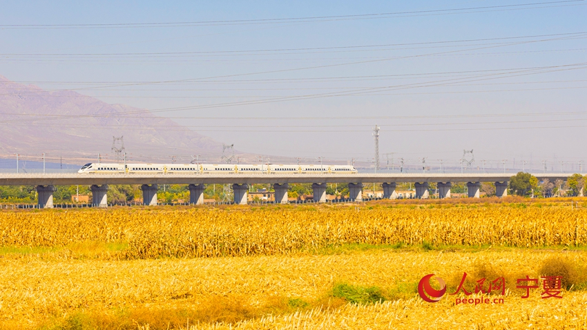 Naik Tren Laju, Alami Musim Gugur di Ningxia