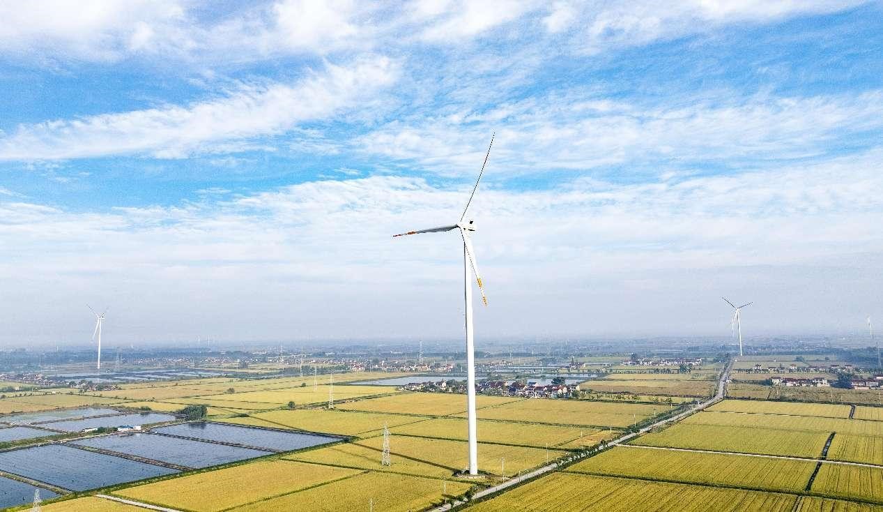 Turbin angin berpusing di atas sawah di perbandaran Tangzhuang, Gaoyou, provinsi Jiangsu di timur China, 9 Oktober 2024. (People's Daily Online/Zhou Shegen)